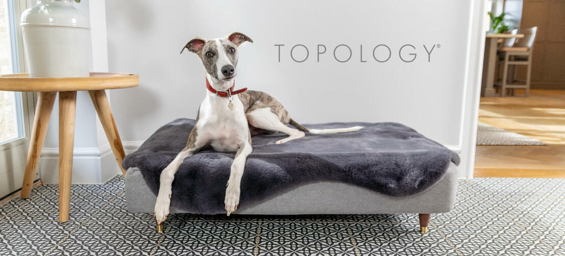 Desnudarse Artefacto virtud Topology | Lujosas camas para perros con fundas y patas personalizables |  Omlet