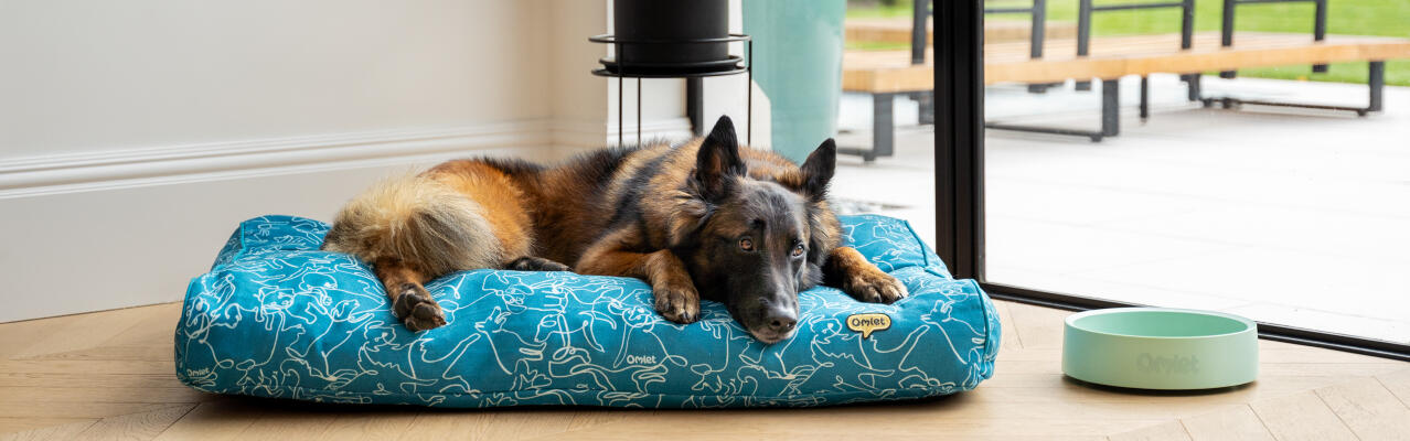 Sheppard alemán descansando en un gran cojín cama para perros