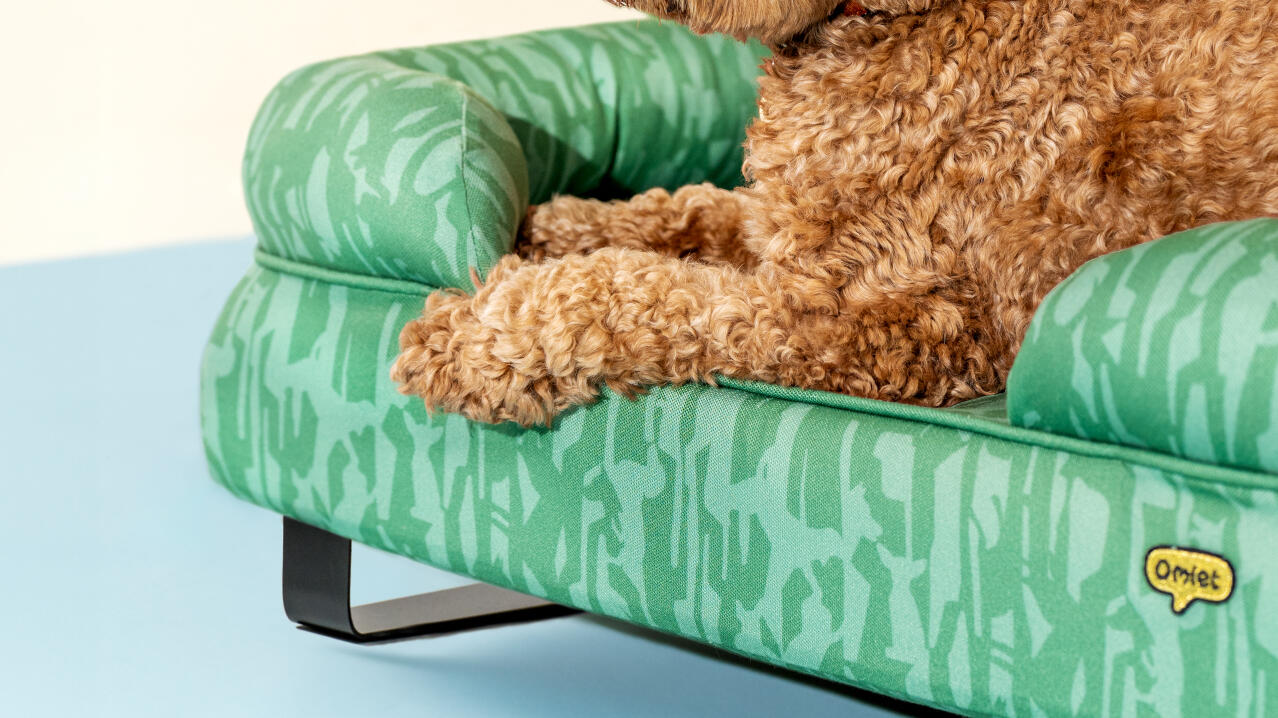 Cama para perros con cojín de apoyo en vibrante diseño