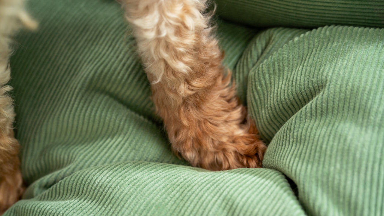 Detalle de las duraderas camas nido de pana para perros de Omlet