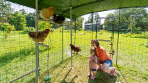 Una madre y su hija dentro de un gallinero interactuando con sus gallinas.