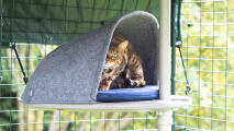 Un gato descansa en la plataforma del árbol para gatos de exterior Freestyle 