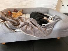 Un perro dormido en una cama gris con cojín, una funda y juguetes