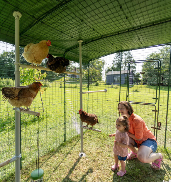 Una madre y su hija dentro de un gallinero interactuando con sus gallinas.