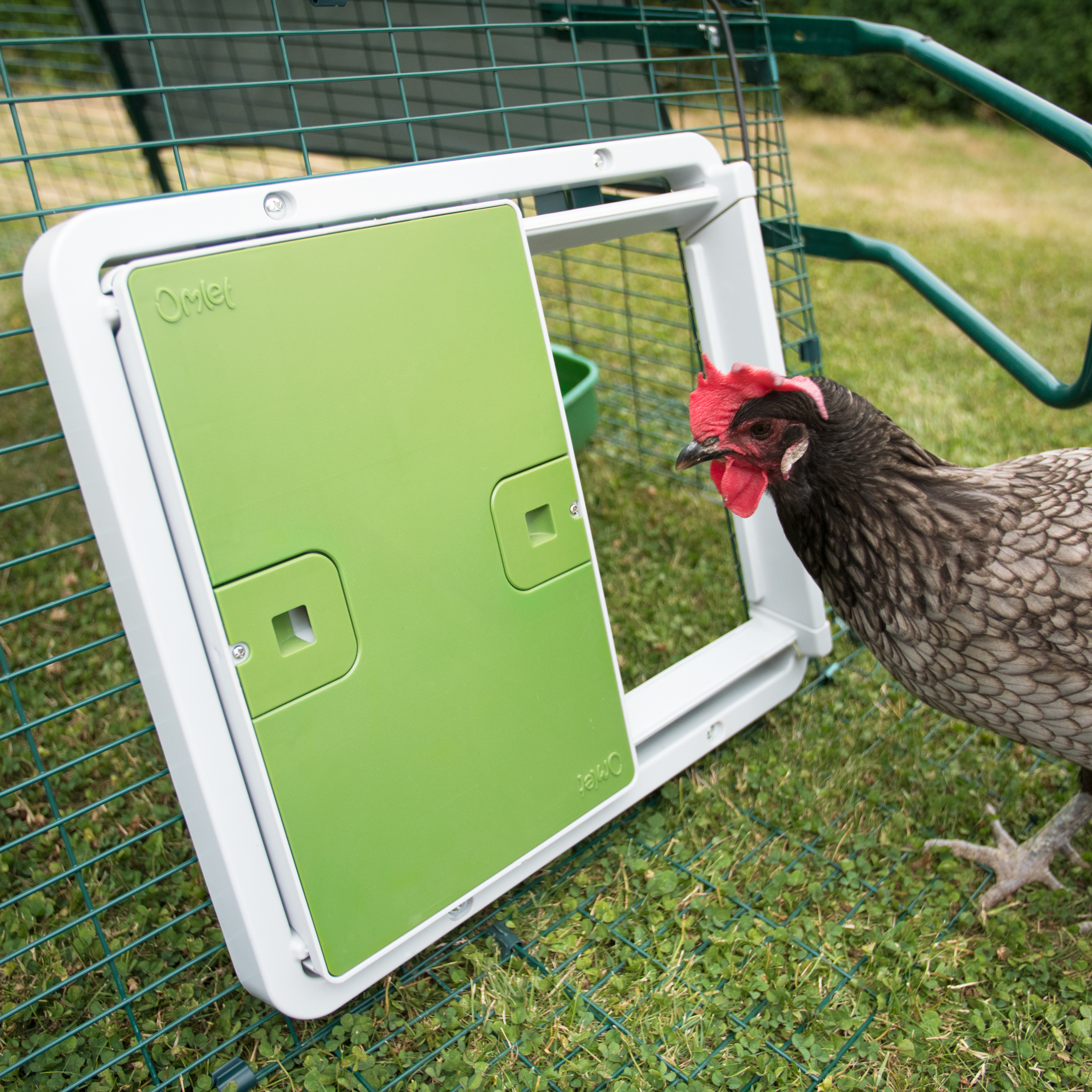 Kindloo  Chicken Door puerta automática para gallinero